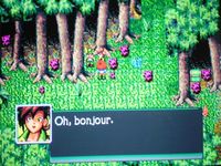 une photo d'Ã©cran de Pier Solar sur Sega Mega-CD